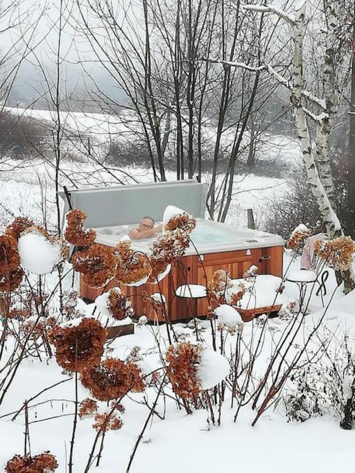 Gite De Charme 5 Etoiles Pour Couple Avec Sauna Et Jacuzzi Exterieurs Privatifs Peaugres Eksteriør billede
